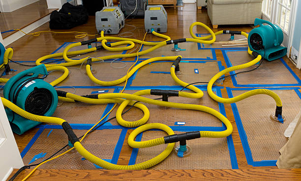 Professional Emergency Water Removal technician working in Prairie Hill, TX