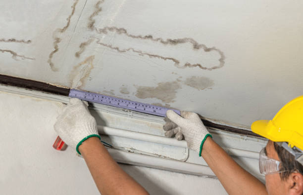 Affordable Water Damage Repair solutions in Prairie Hill, TX